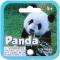PANDA 2 - MEGA MARBLES - MEGA MARBLES 24+1 (2013-2018) (FACE)